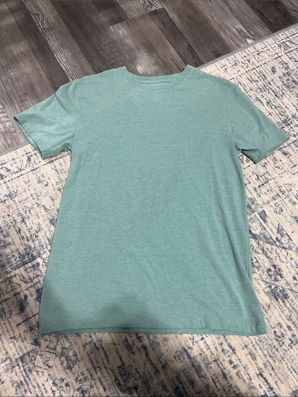 Express Men's Short Sleeve Crew Tee in Seafoam